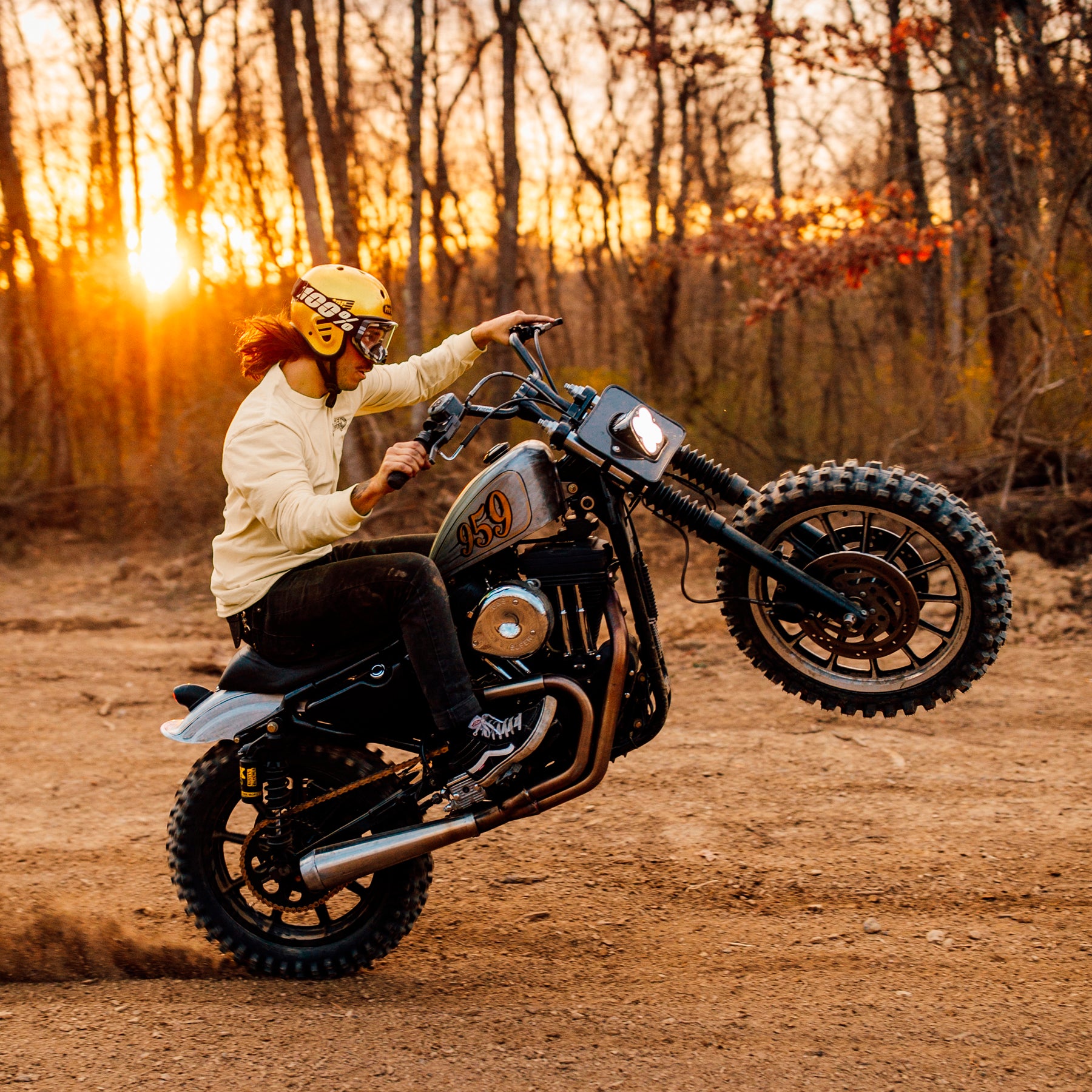 Off road best sale harley sportster